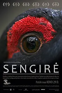 Постер к фильму «Древние леса (2017)»