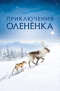Главный постер фильма «Приключения олененка (2018)»