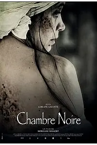 Главный постер фильма «Темная комната (2018)»