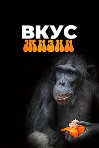 Главный постер сериала «Вкус жизни (2023)»