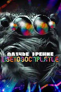 Постер к фильму «Паучье зрение: цветовосприятие (2024)»