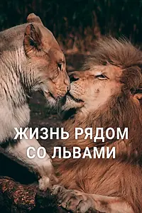 Главный постер фильма «Жизнь рядом со львами (2023)»