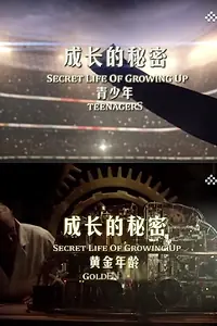 Постер к сериалу «The Secret Life of Growing Up (2016)»