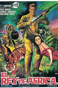 Главный постер фильма «Охота на насильников (1968)»