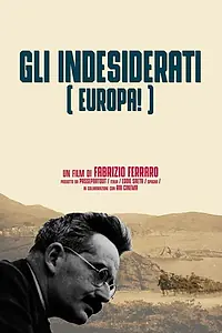 Главный постер фильма «Нежелательный человек в Европе (2018)»