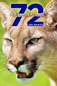 Постер к сериалу «72 Dangerous Animals: Latin America (2017)»