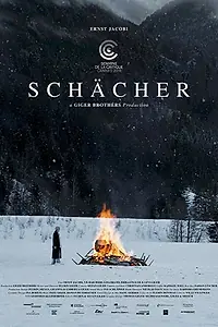 Постер к фильму «Вор (2018)»