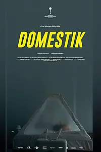 Главный постер фильма «Домашний режим (2018)»