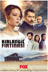 Главный постер сериала «Шторм ласточки (2017)»