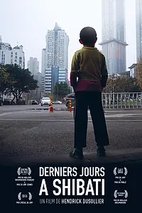 Главный постер фильма «Последние дни в Шибати (2017)»