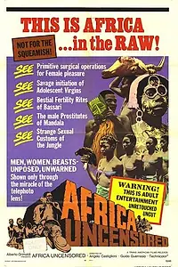Постер к фильму «Африка как она есть (1971)»