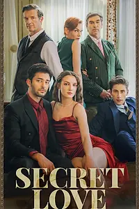 Постер к сериалу «Тайный союз с миллиардером (2025)»