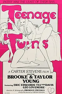 Постер к фильму «Teenage Twins (1976)»