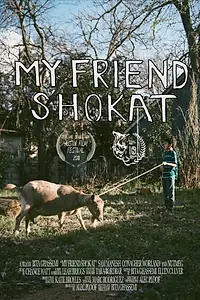 Постер к фильму «My Friend Shokat (2018)»
