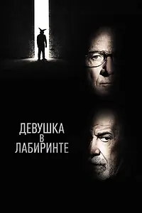 Постер к фильму «Девушка в лабиринте (2019)»