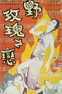 Постер к фильму «Дикая, дикая роза (1960)»