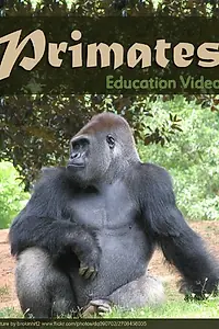 Постер к фильму «Primats (1997)»