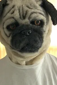 Постер к фильму «A Pug & Wolf Christmas (2017)»