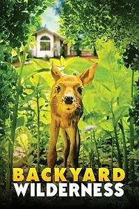 Постер к фильму «Backyard Wilderness (2018)»