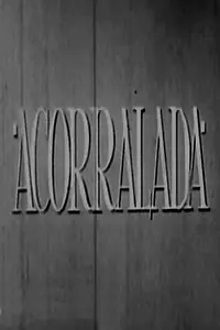 Постер к фильму «Загнанная (1953)»