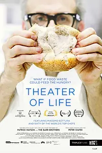 Главный постер фильма «Театр жизни (2016)»