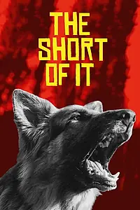 Главный постер фильма «The Short of It (2018)»