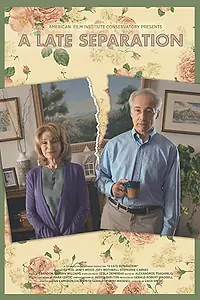 Постер к фильму «A Late Separation (2018)»