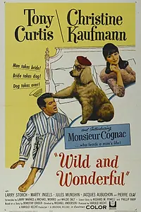 Главный постер фильма «Неукротимый и прекрасный (1964)»
