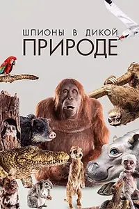 Постер к сериалу «Шпионы в дикой природе (2017)»