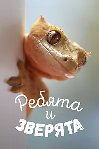 Главный постер сериала «Ребята и зверята (2007)»