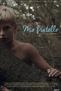 Постер к фильму «Mio fratello (2019)»