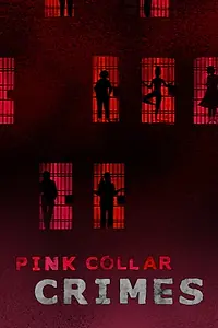 Главный постер сериала «Pink Collar Crimes (2018)»