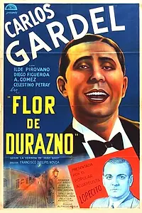 Постер к фильму «Flor de durazno (1917)»