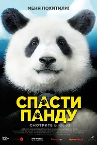 Главный постер фильма «Спасти панду (2020)»