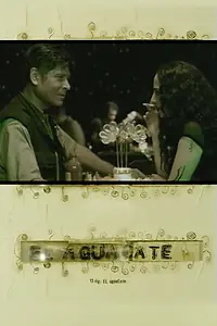 Постер к фильму «El aguacate (1999)»