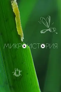 Постер к фильму «Микроистория (2017)»