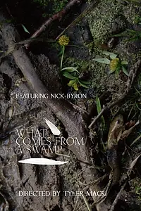 Главный постер фильма «What Comes From a Swamp (2017)»