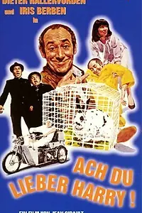 Главный постер фильма «Ах, ты любишь Гарри (1980)»