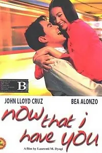 Постер к фильму «Теперь, когда у меня есть ты (2004)»