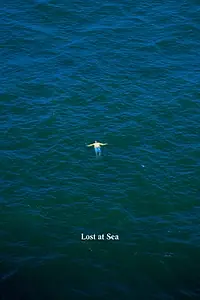 Постер к фильму «Lost at Sea (2017)»