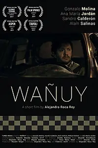 Главный постер фильма «Wañuy (2017)»