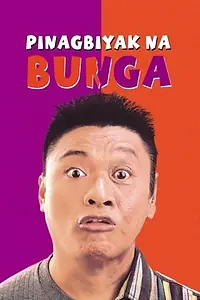 Главный постер фильма «Pinagbiyak Na Bunga: Lookalayk (1994)»