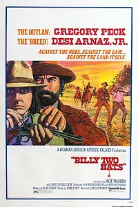 Главный постер фильма «Билли-две шляпы (1974)»