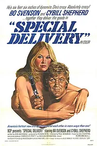 Главный постер фильма «Специальная доставка (1976)»