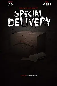 Постер к фильму «Special Delivery (2016)»