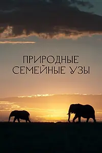 Постер к сериалу «Природные семейные узы (2022)»