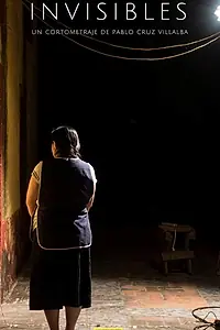 Главный постер фильма «Las mujeres invisibles (Invisible Women) (2018)»