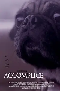 Постер к фильму «Accomplice (2017)»