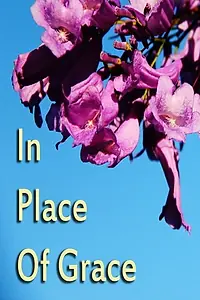 Постер к фильму «In Place of Grace (2017)»