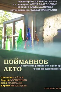 Постер к фильму «Пойманное лето (2016)»